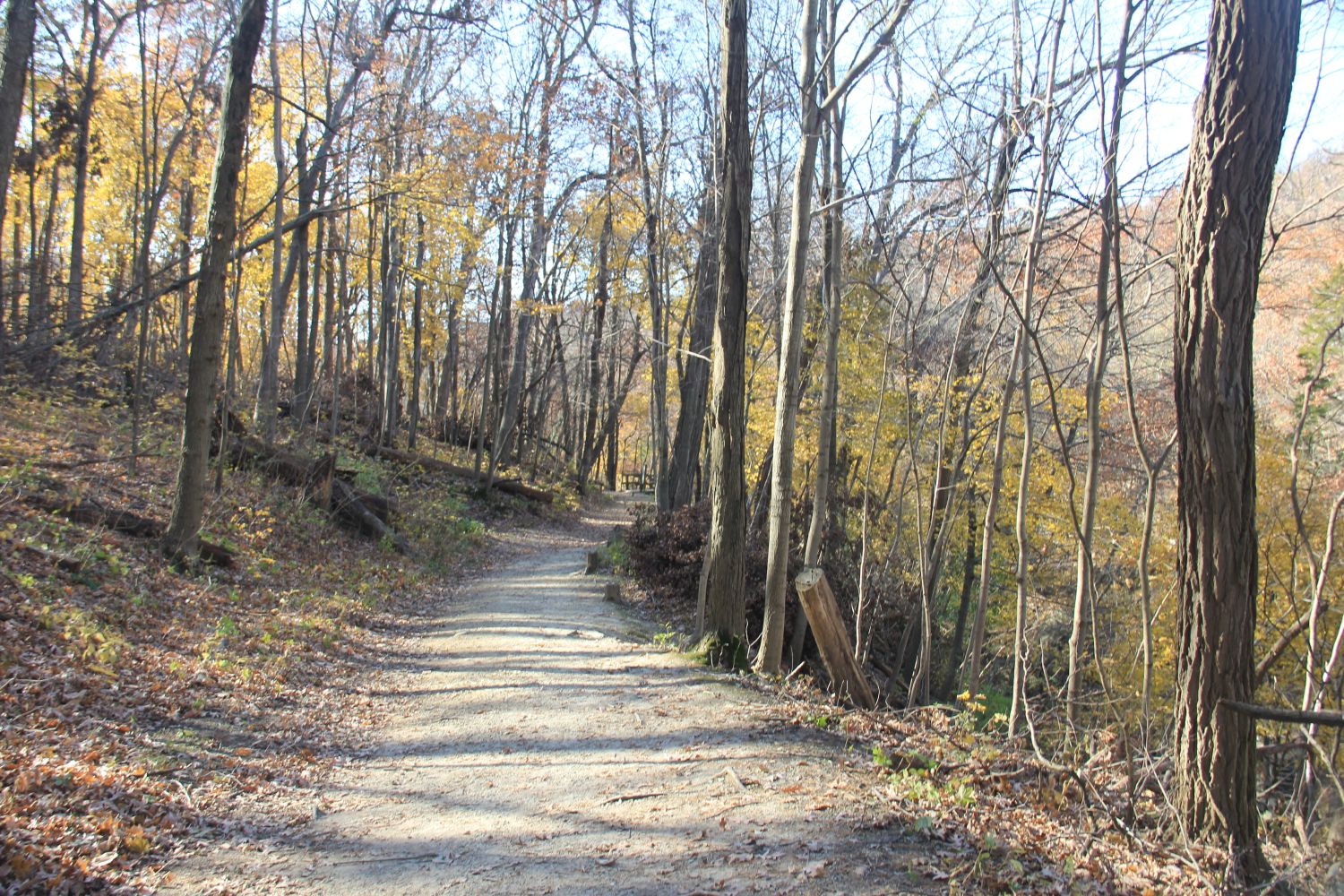 Matthiessen 